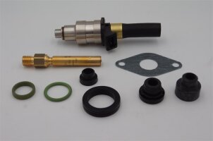 Vergaser & Einspritzpumpe