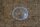 license plate light lense W111 coupe, cab / W108/109