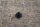 clip door seal  107 / W123 coupe
