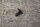clip door seal  107 / W123 coupe