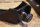 bracket ( set ) for horn mounts R113