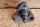 Kettenspanner M189