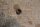 Buchse an Schalthebel W107,108,109,111,114,115