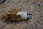 Thermoschalter 2-Pol, K-Jet, M116/M117
