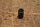 spring for guide pin at brake carrier front axle Ponton/SL/W111 early