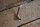high pressure hose power steering W107 (late 350/450sl)