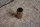 spacer on front axle bolt Ponton / 190SL