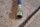 clutch hose 0002952135 W116/123 RHD