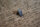 mounting clip seat cover 107SL/SLC