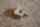 Sonnenblenden-Lager W123/124/126/201 beige
