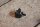 sun visor clip W123/124/126/201 black