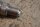 spark plug BOSCH W112 (M189)