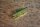 outer weatherstrip cramp front 107