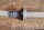 vacuum hose on brake booster W123 200T/200