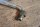 vacuum hose on brake booster W123 200T/200