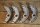 set of brake shoes, front 65mm alu ( repro )