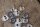 knob set softop cover R121 190SL ( 64-pcs)