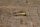 carburetor idle mixture adjustment screw M108/114/130/180