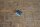 clip for chrome trims softtop box W113