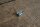 clip for chrome trims softtop box W113