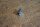 clip for chrome trims softtop box W113