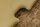 Sonnenblende (Satz) R107 beige