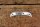 armrest trim front R113/W114/115