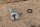 bearing body speedo cable automatic gearbox