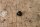 rubber buffer W100/107/108/109/111/114/115/116/123/126/201