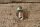 screw nut cold start valve M100/127/129/130/189