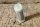 filter for fuel pump Bosch (6- zyl.)