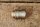 bearing for distributor 1801500107