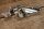 chrome piece on b-pillar R113 right  (up to 02.66)