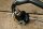 blinker combination switch W110/W111 220b