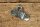 soft top cover lock R107/113