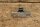 soft top cover lock R107/113