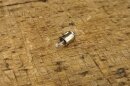 Glühbirne Instrumentenbeleuchtung 12V / 2W, BA7s