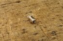 Glühbirne Instrumentenbeleuchtung 12V / 2W, BA7s