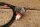 ABS speed sensor front left R107 from´85 /W124/201