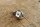 chrome water nozzle windscreen wiper early W108,109 / W113 OE