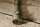 Nockenwelle M108/129/180