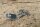 rod spring for fuel filter switch W180/190SL