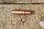intake valve guide M100.985 14x9x60mm STD