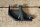 Halter Lichtmaschine M108/114/127/129/130/180
