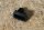 rubber grommet rear handbrake cable right W108/111/113