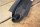 Cross member, front jack port Ponton / SL
