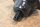 rear axle support Ponton / SL
