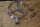 rep.-kit grille star W108/W109