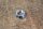 chrome rosette , emergency flasher switch