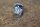 chrome knob cockpit light W120 / W121 / 190SL